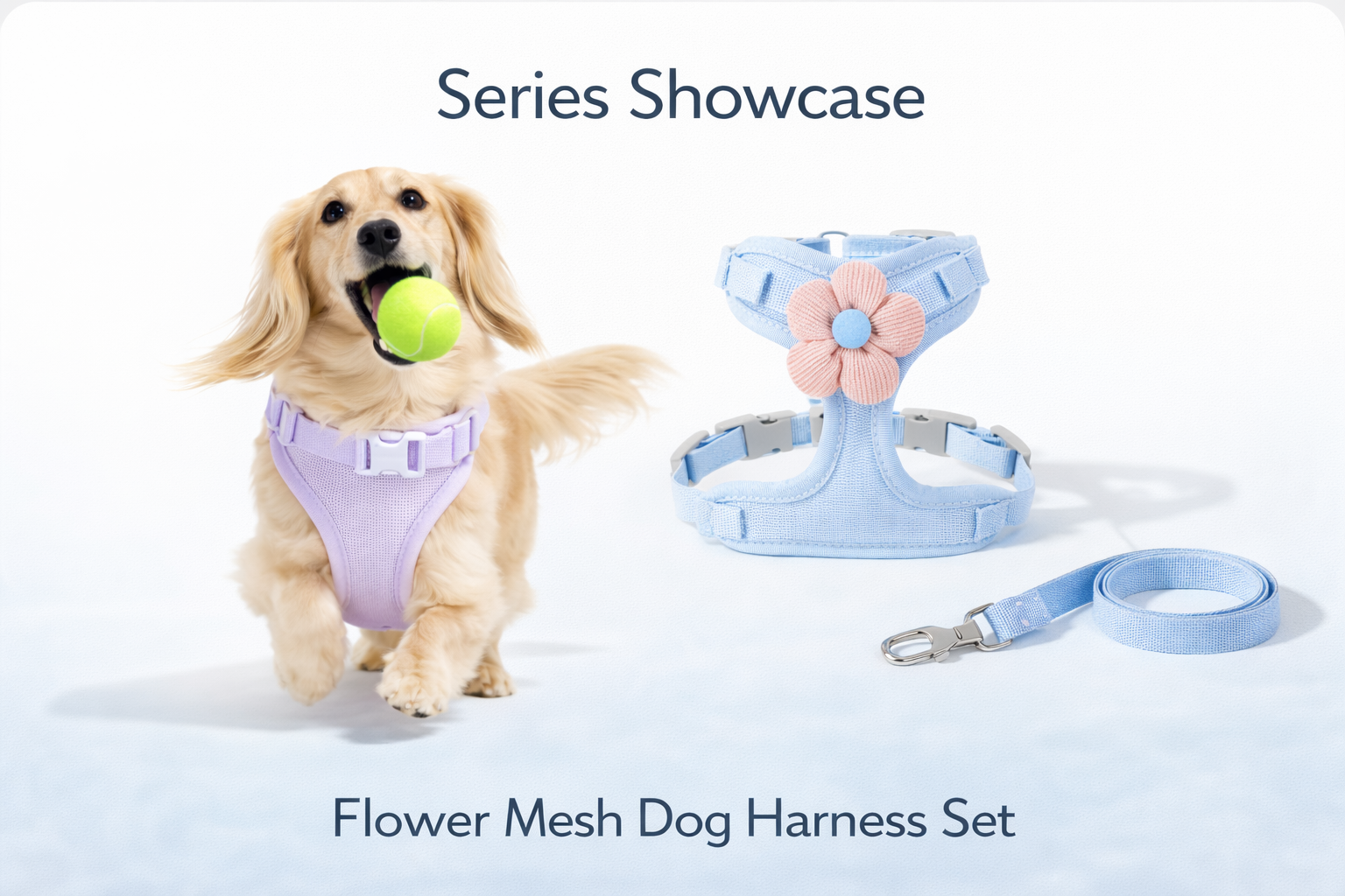 Play & Comfort Series