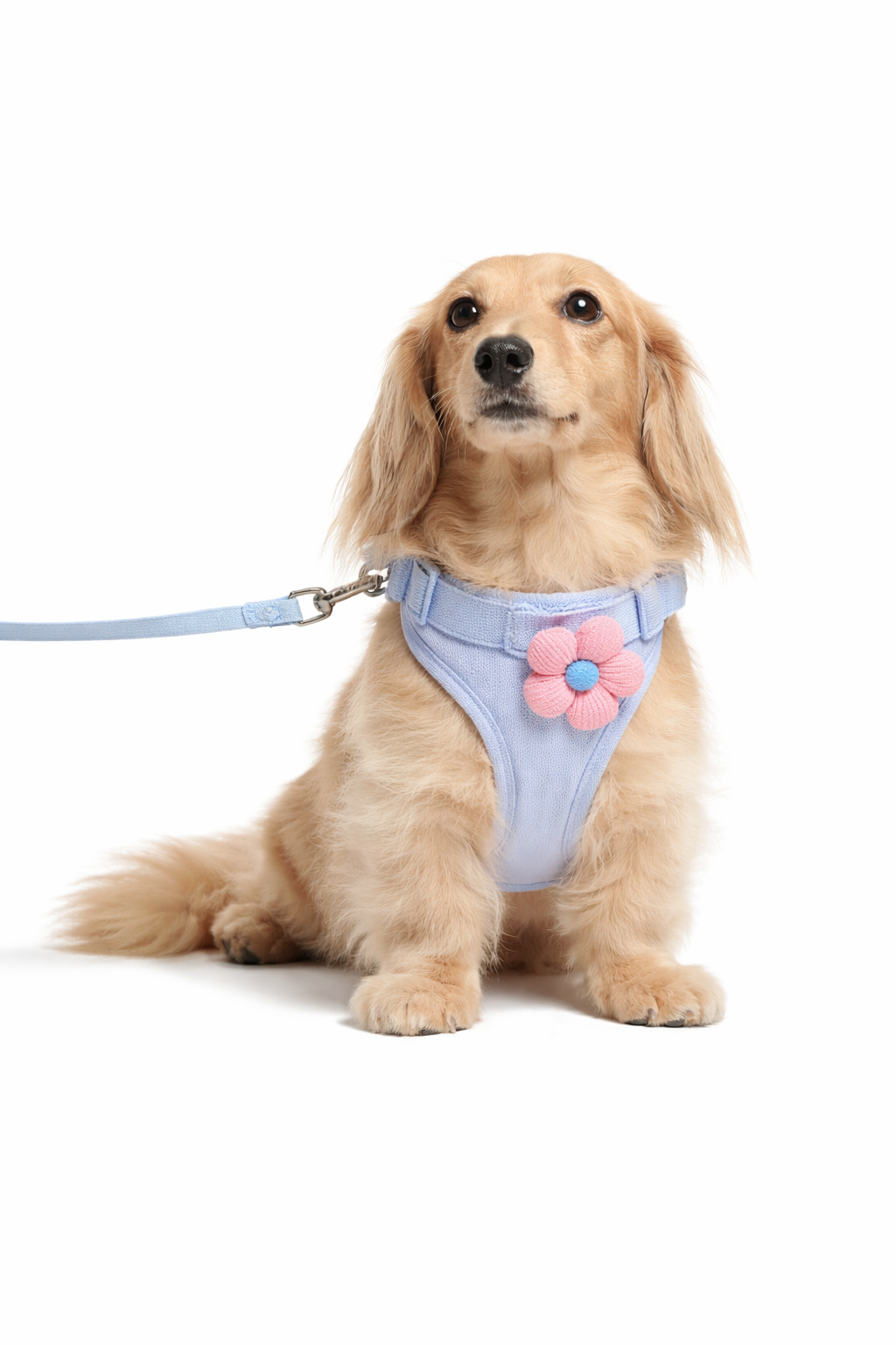 Flower Mesh Dog Harness Set