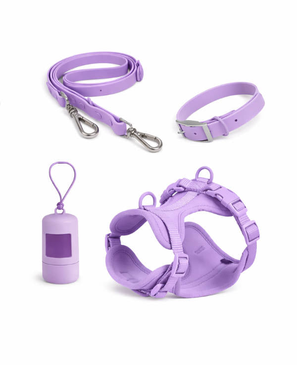 Waterproof collar+waterproof traction strap set
