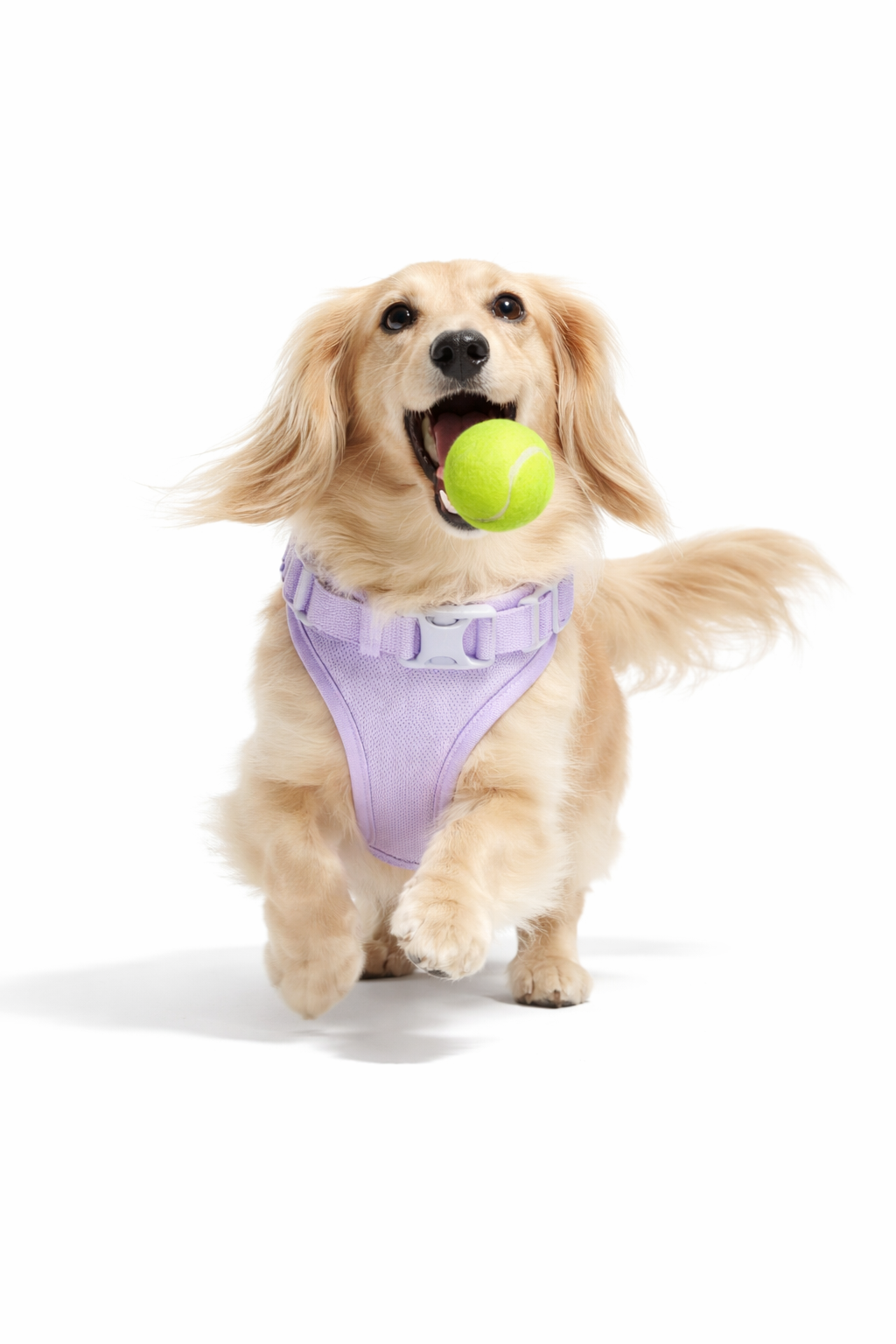 Playful Plush Toy Se